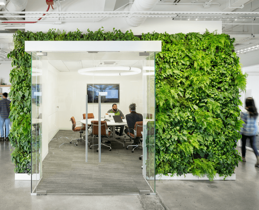 Văn phòng của Solar Mosaic ở Oakland, California với bức tường xanh (Habitat Horticulture – GARRY BELINSKI – Hình ảnh qua Forbes)