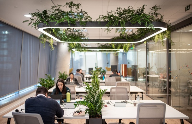 Mẫu thiết kế văn phòng xanh sử dụng giá treo thực vật