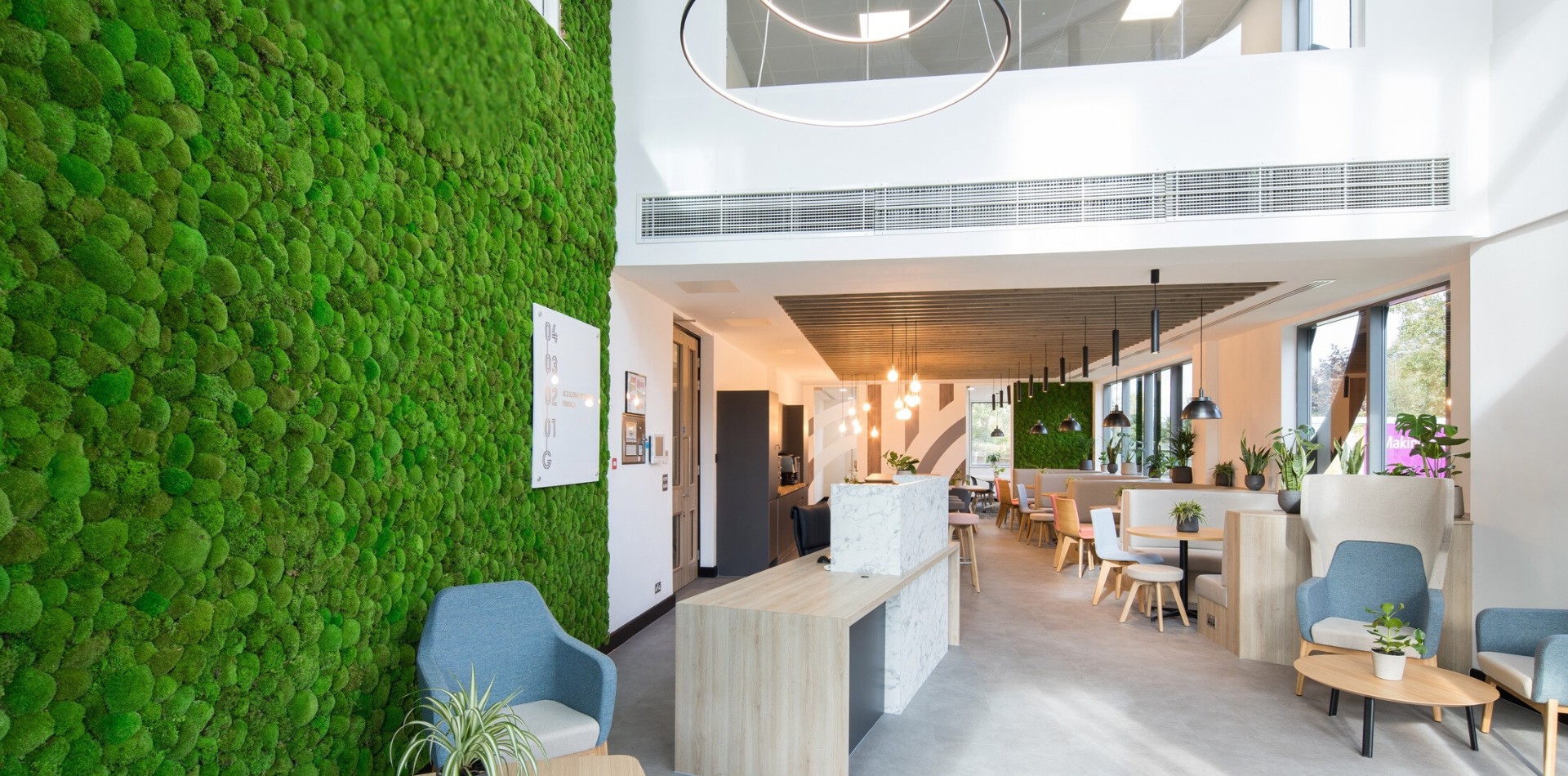 Thiết kế văn phòng Biophilic