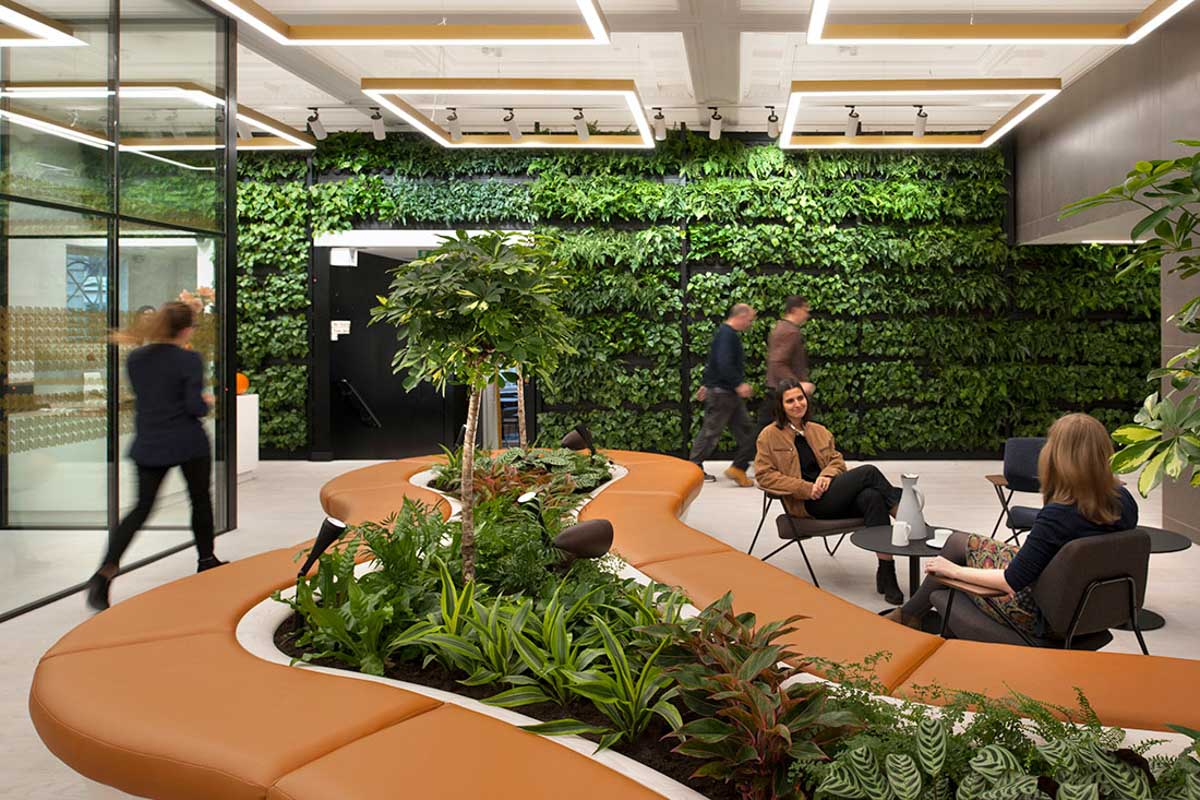 Thiết kế văn phòng Biophilic