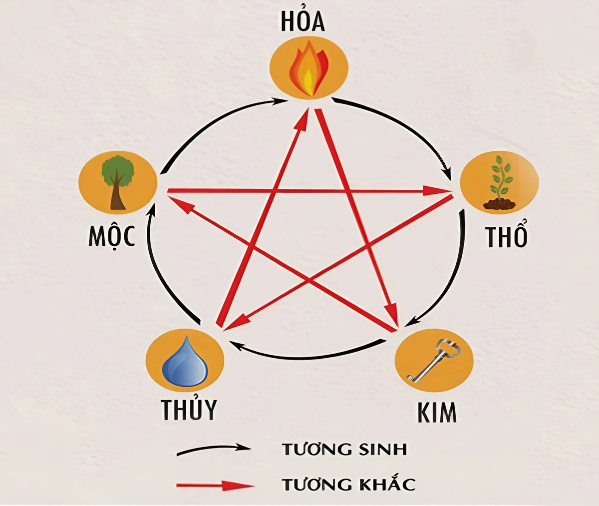 Cây để bàn làm việc hợp mệnh Mộc