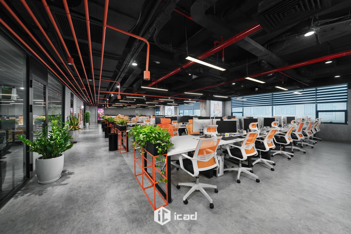 Fit out văn phòng