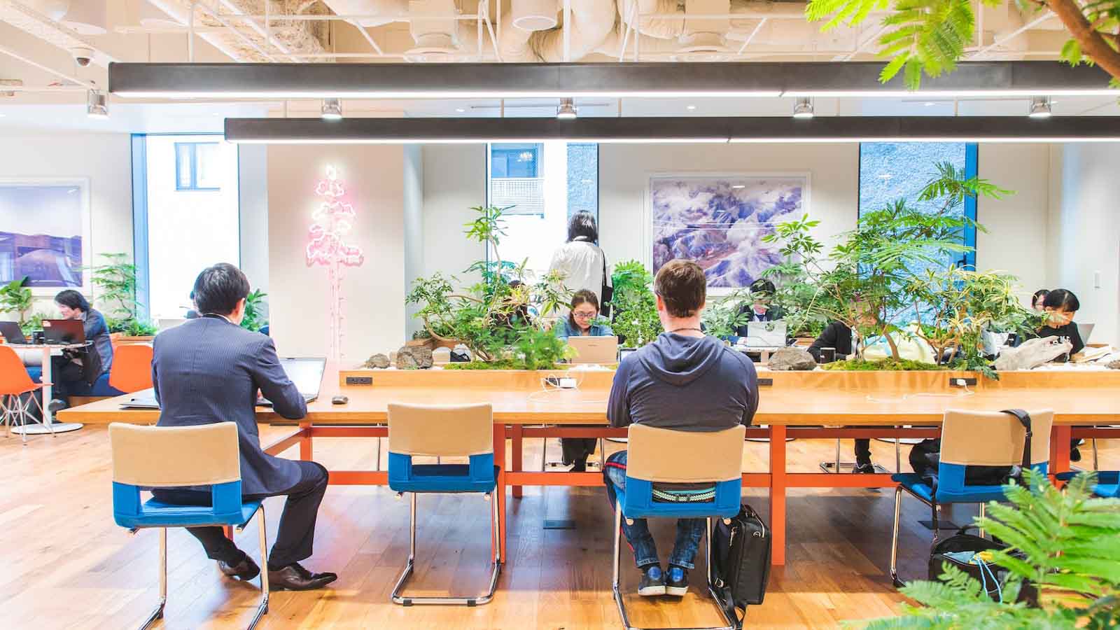 Hot desk / Open desk