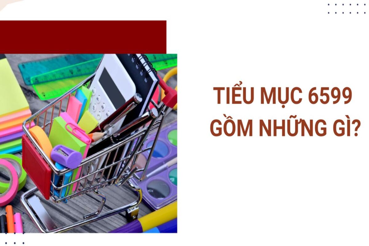 tieu-muc-6599-gom-nhung-gi