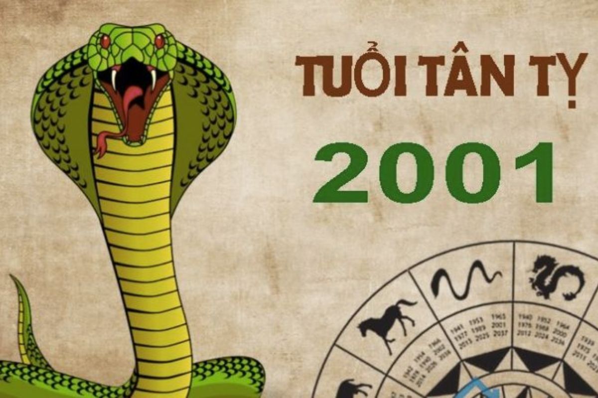 2001-tuoi-tan-ty