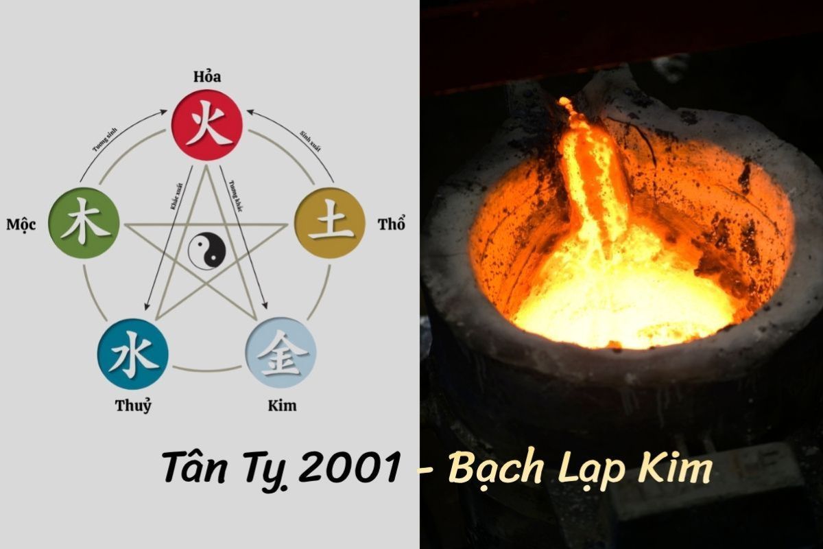 nguoi-sinh-nam-tan-ty-mang-menh-bach-lap-kim