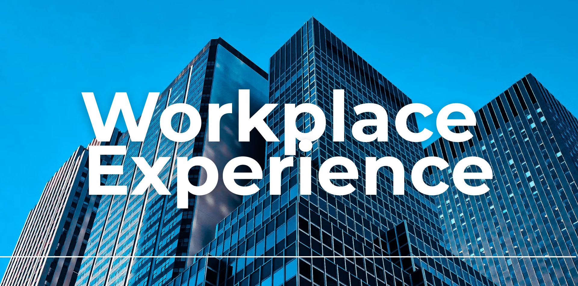 Workplace experience